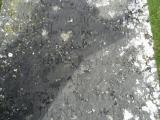 image of grave number 632769